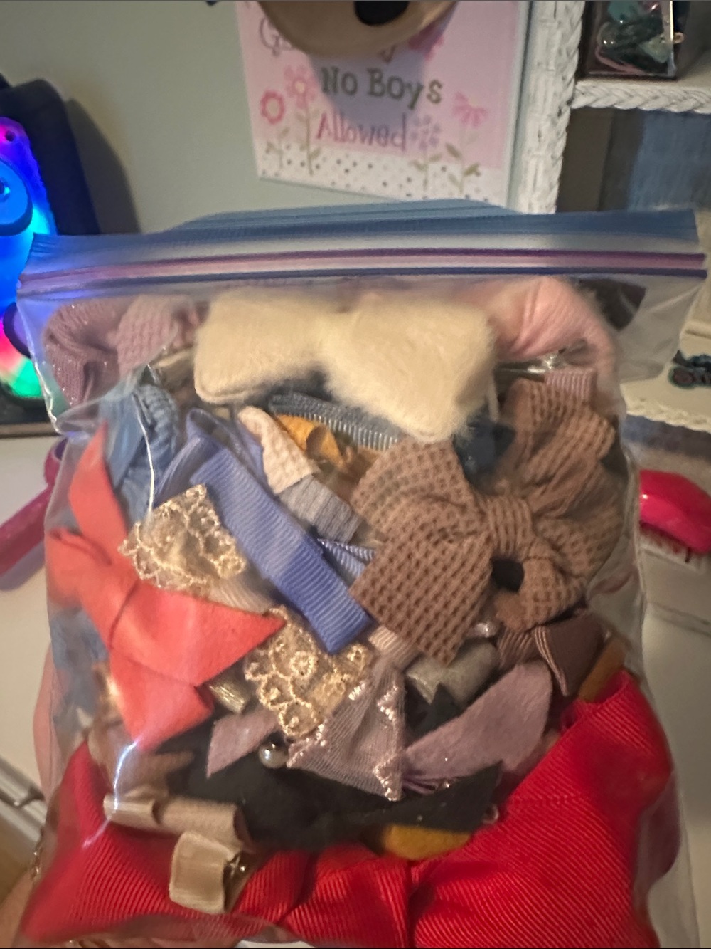Assorted Small Bows and Clips